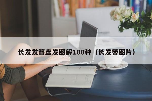 长发发簪盘发图解100种（长发簪图片）