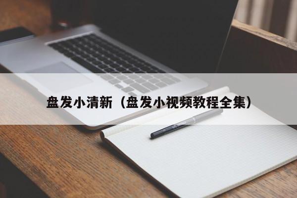 盘发小清新（盘发小视频教程全集）