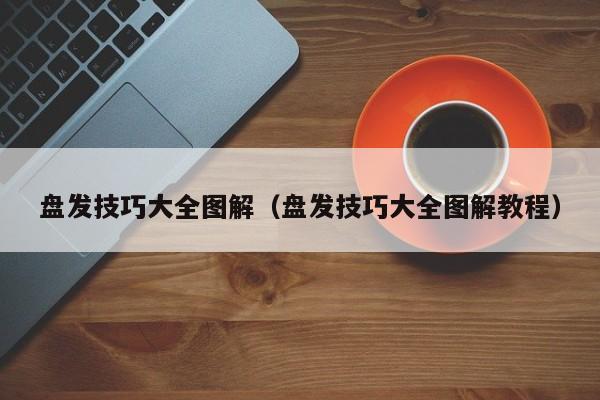 盘发技巧大全图解（盘发技巧大全图解教程）